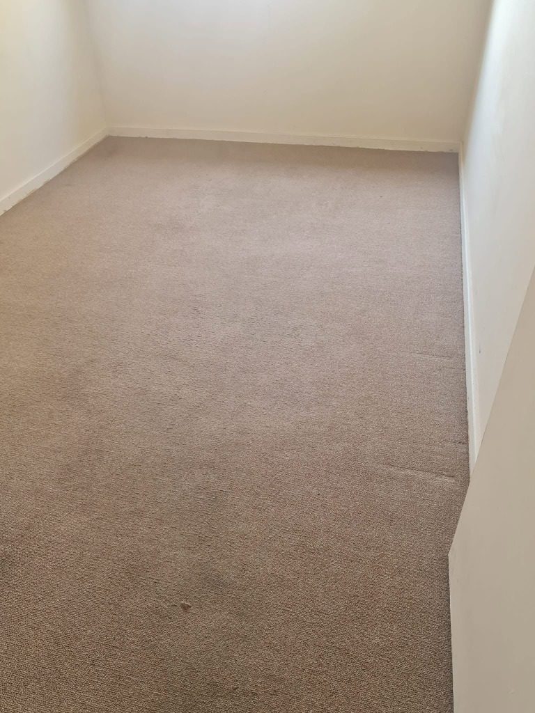 Freshly cleaned bedroom carpet after hot-water extraction, Pretoria